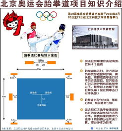 跆拳道基礎(chǔ)知識題