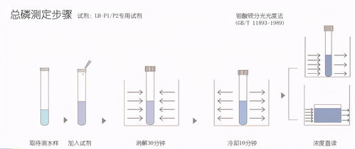考試題,水質(zhì),上崗,基礎(chǔ)知識