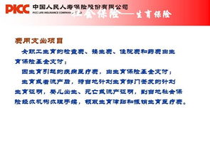 關(guān)于協(xié)管員的基礎(chǔ)知識(shí)及常識(shí),社保協(xié)管員是什么工作,村委社保協(xié)管員待遇