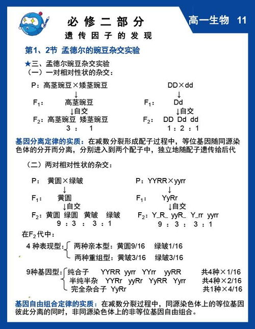 高一,必修,基礎知識,生物