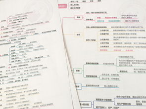 綜合知識(shí)和能力素質(zhì)公共基礎(chǔ)知識(shí)