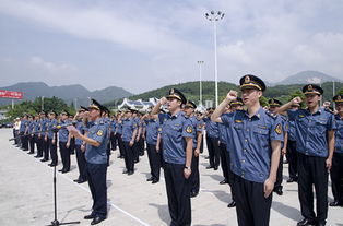 福建省交通綜合執(zhí)法專(zhuān)業(yè)基礎(chǔ)知識(shí)