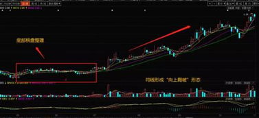 股票基礎(chǔ)知識講解,股票講座基礎(chǔ)知識,股票大講堂基礎(chǔ)知識