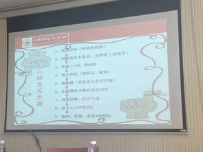 急救,基礎(chǔ)知識(shí),培訓(xùn)計(jì)劃
