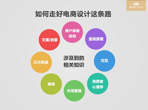 電商基礎(chǔ)知識學(xué)的到啥