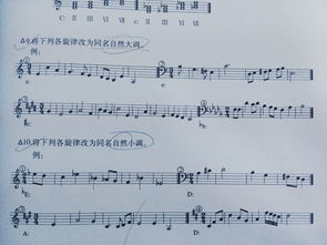 樂理,伴奏,基礎(chǔ)知識,純音樂