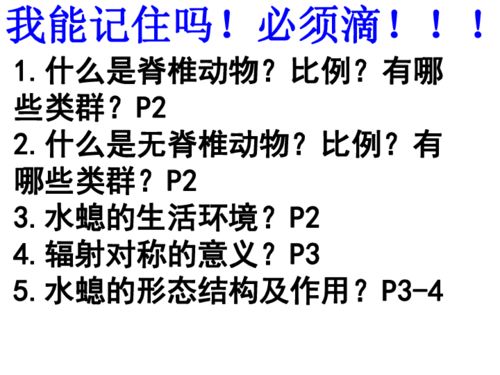 初三語文基礎(chǔ)知識ppt
