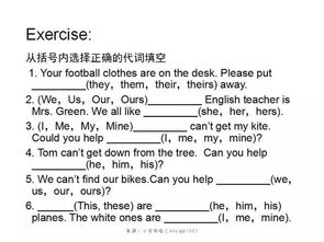 小學(xué)陜西版英語基礎(chǔ)知識點