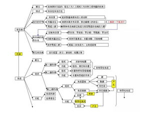 初中函數(shù)基礎知識思維導圖,物流基礎知識思維導圖,計算機基礎知識思維導圖