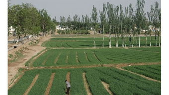 巴東農(nóng)業(yè)基礎(chǔ)知識(shí)