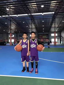 基礎(chǔ)知識,籃球,培訓(xùn)