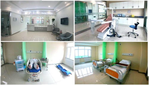 口腔醫(yī)學技術專業(yè)知識基礎知識