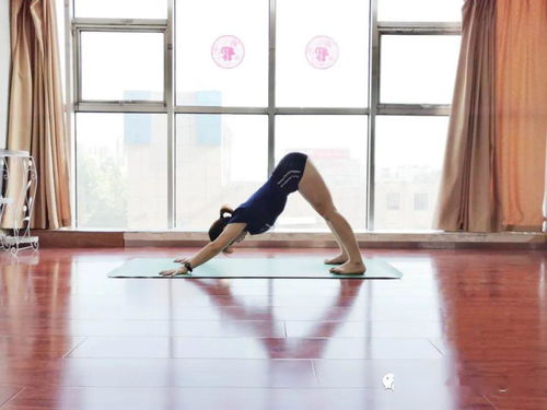 關(guān)于瑜伽的基礎(chǔ)知識