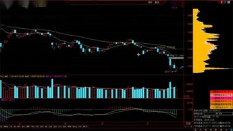 東方財富股票基礎(chǔ)知識