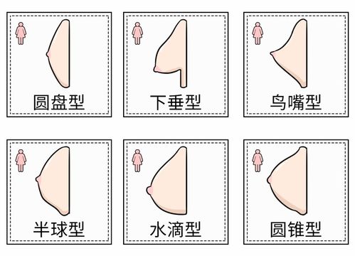 女性生理基礎(chǔ)知識(shí)