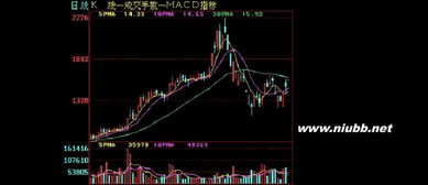 基礎(chǔ)知識(shí)