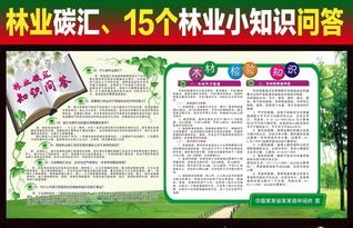 林業(yè)碳匯基礎(chǔ)知識(shí)問答