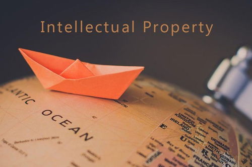 知識產(chǎn)權(quán)零基礎(chǔ)怎么樣