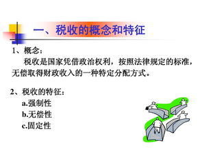 稅收基礎理論知識ppt