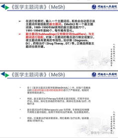 科研基礎知識培訓總結