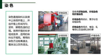 普通話(huà)基礎(chǔ)知識(shí)培訓(xùn)心得,物業(yè)管理基礎(chǔ)知識(shí)培訓(xùn)心得,白酒基礎(chǔ)知識(shí)培訓(xùn)心得