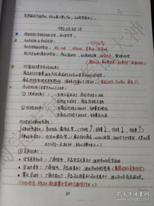 三香教育基礎(chǔ)知識(shí)講義