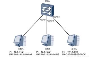 華為路由和交換基礎(chǔ)知識