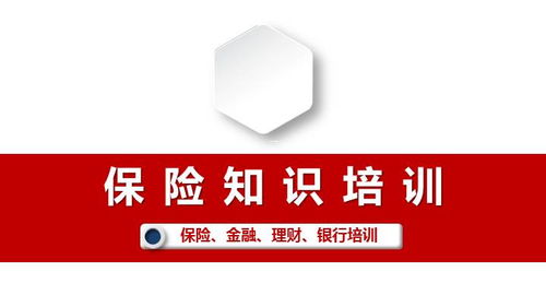 醫(yī)保,基礎(chǔ)知識(shí),培訓(xùn)