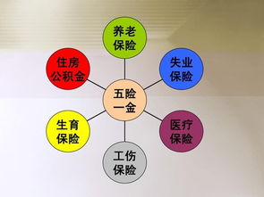 社會(huì)保險(xiǎn),基礎(chǔ)知識(shí)