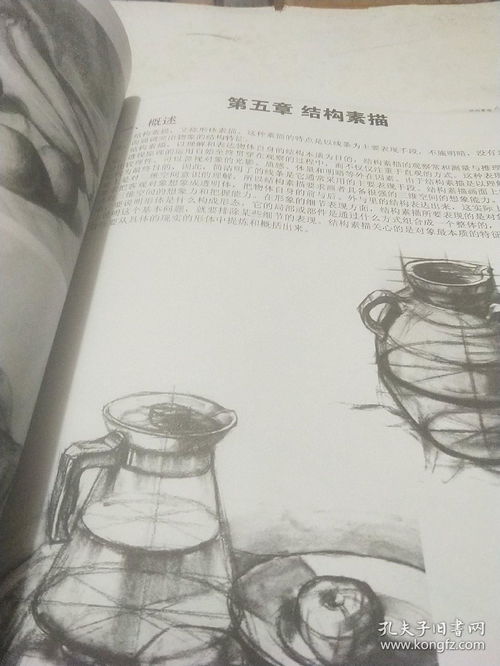 素描,基礎(chǔ)教程,知識