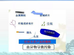 gmp基礎(chǔ)知識培訓(xùn)百度