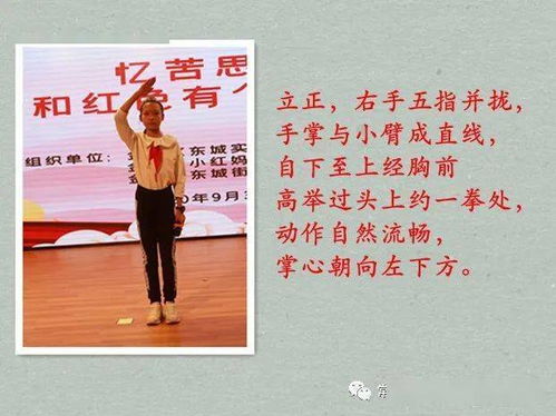 少先隊(duì)基礎(chǔ)知識(shí)和隊(duì)禮儀訓(xùn)練