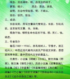 河北高一語(yǔ)文基礎(chǔ)知識(shí)整理