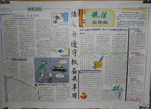 稅法,基礎(chǔ)知識(shí),手抄報(bào)