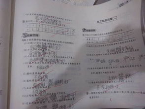 六年級下冊數(shù)學(xué)基礎(chǔ)知識,六年級上冊數(shù)學(xué)基礎(chǔ)知識,一到六年級數(shù)學(xué)基礎(chǔ)知識