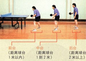 乒乓,基礎(chǔ)知識
