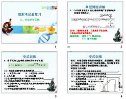 化學(xué)基礎(chǔ)知識(shí)入門(mén)書(shū)籍,化學(xué)基礎(chǔ)知識(shí)入門(mén),化學(xué)基礎(chǔ)知識(shí)入門(mén)txt