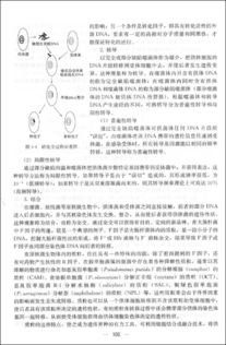 水微生物學(xué)基礎(chǔ)知識(shí)