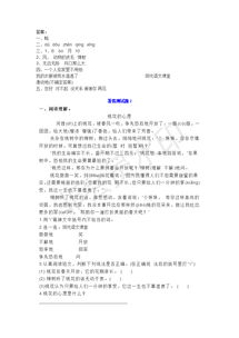 小學語文二級基礎(chǔ)知識教研