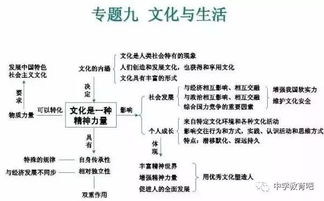 初三政治第l六課基礎(chǔ)知識匯總