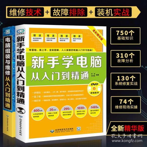 基礎(chǔ)知識,學(xué)電腦,新手