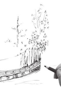 學(xué)畫的基礎(chǔ)知識