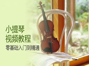小提琴基礎(chǔ)知識教學(xué)
