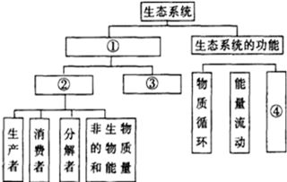 通過(guò)激素的調(diào)節(jié)基礎(chǔ)知識(shí)問(wèn)題