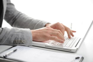 基礎(chǔ)知識,公司法人