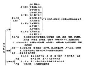 中醫(yī)基礎知識面試題