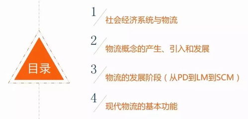 口風(fēng)琴基礎(chǔ)知識微課