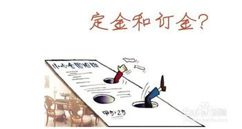 酒店的基礎(chǔ)知識(shí)有哪些