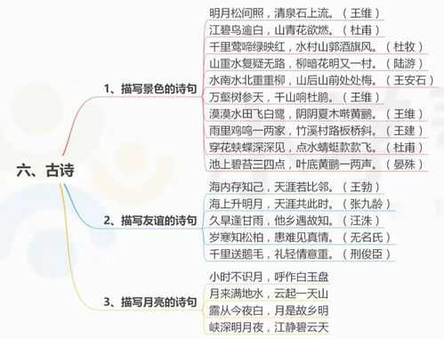 中小學(xué)生,基礎(chǔ)知識,必備,思維