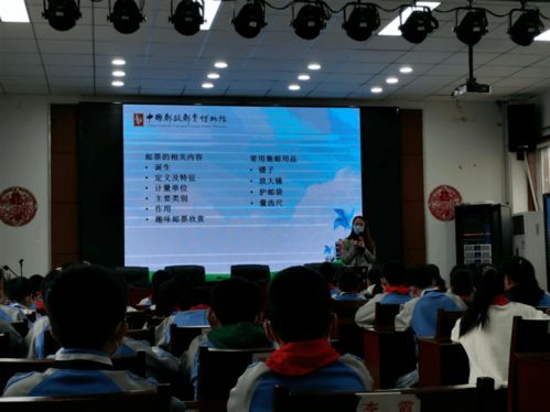 博物館講解員基礎(chǔ)知識